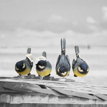 Yellow-Bellied Blue Tit Bird Resin Figurine by Transpac - Head & Tail Tilted Up