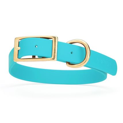 Dog Pet Collar with Brass Hardware Size L W 1” L 18” - 22” Sky Blue