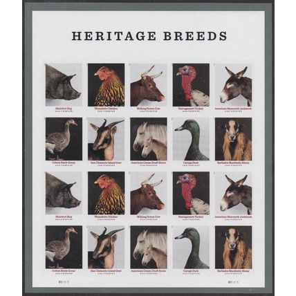 Heritage Breeds Animals Sheet of 20 Current Rate Postage Stamps Scott 5583-92