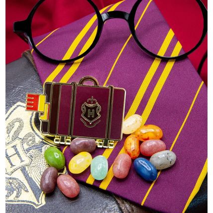 Harry Potter Pin Seeking Trunk Enamel Pin - Limited Edition