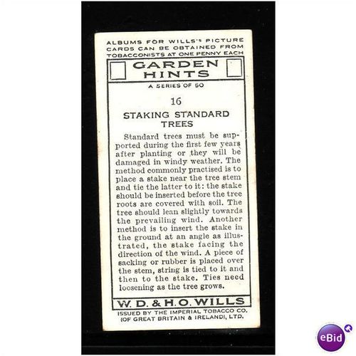 WILLS - 1938 GARDEN HINTS NO 16 STAKING STANDARD TREES Mint