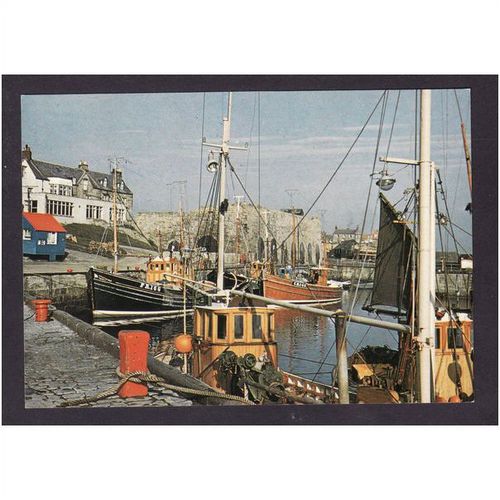 NORTHUMBERLAND POST CARD - SEAHOUSES HARBOUR No PNO 81843 JOHN HINDE UNUSED