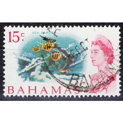 ZAYIX Bahamas 261 Sea Gardens - Coral Reef - Marine Life 072622S26M