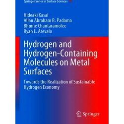 Hydrogen and Hydrogen Containing Molecules on Metal Surfaces