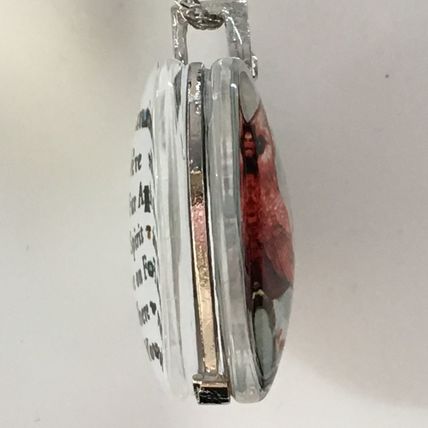 Necklace Encased Red Cardinal with Saying #345 USA Seller