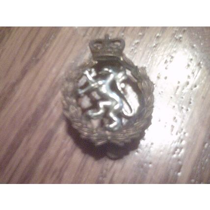 Medallion clip on coat of arms