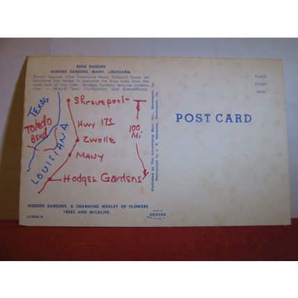 ROSE GARDENS, HODGES GARDENS, MANY, LOUISIANA, USA used postcard #