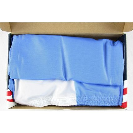 Annin Argentina 3' x 5' Quality Nylon Flag, 190325, All the Kings Flags