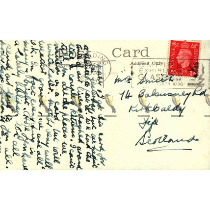 Hampton Court Palace, Great Vine, Surrey, HM Office Of Works Postcard, 1938