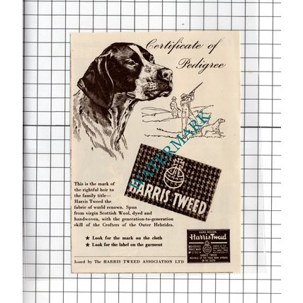 Highland Queen Whisky Queen Nofretete / Harris Tweed - 1950 Small Advert