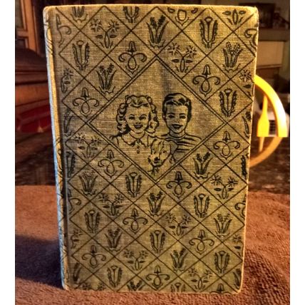 The Bobbsey Twins At Snow Lodge 1960 By Laura Lee Hope Great Shape