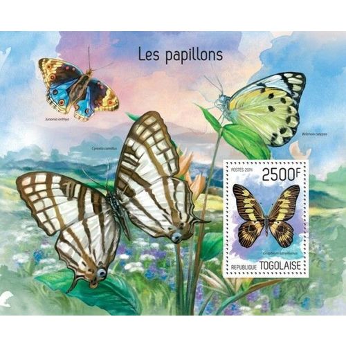 TOGO 2014 SHEET MNH BUTTERFLIES PAPILLONS SCHMETTERLINGEN FARFALLE MARIPOSAS 2A