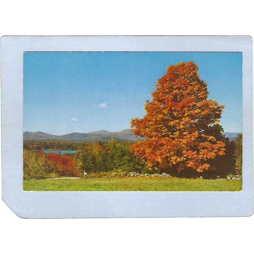 New York Plattsburgh Greetings From Plattsburgh NY ny_box3~1156