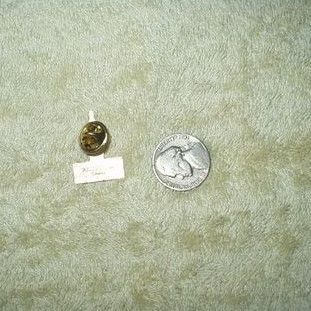 City of Medicine Hat, Alberta, Canada Lapel Pin - The Gas City