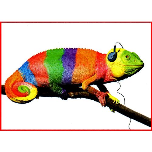 Jazz FM 102.2 - Chameleon & Headphones - Listen in Colour- London Cardguide 1997