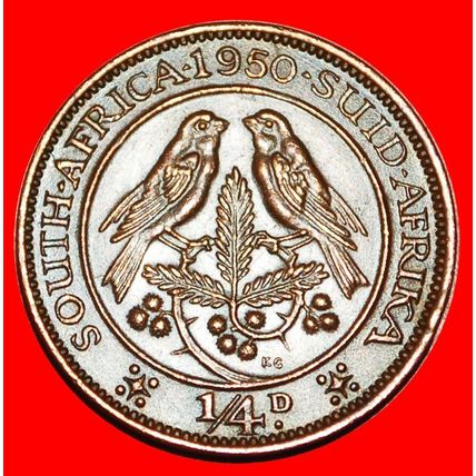 2 SOLD CAPE SPARROWS:SOUTH AFRICA★1/4 PENNY 1950! GEORGE VI★LOW START★NO RESERVE