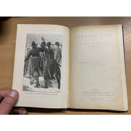 RARE* 1889 REVEREND BUCKLAND STRAYED EAST ILLUSTRATED FICTION ANTIQUE BOOK (P3)