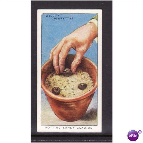 WILLS - 1938 GARDEN HINTS NO 25 Potting Early Gladioli Mint