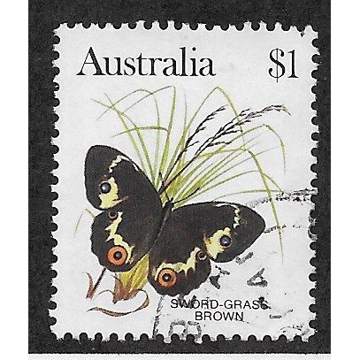 AUS 1981 $1.00 'BUTTERFLIES - SWORD GRASS BROWN' FINE USED (EBID68-026)