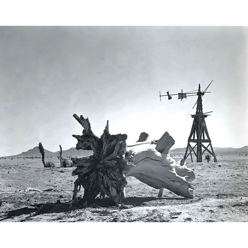 Eliot Porter Photo Print WINDMILL Animas NM 1947 Americana wall art poster orig