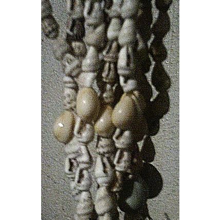 Plant hanger shells
