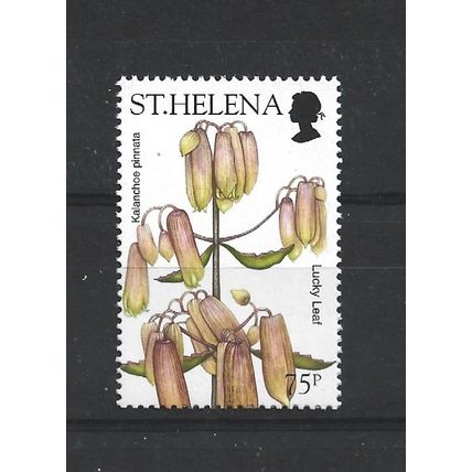 St Helena.SG900 75p Kalanchoe pinnata.Unmounted Mint.Mar24