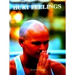 Hurt Feelings