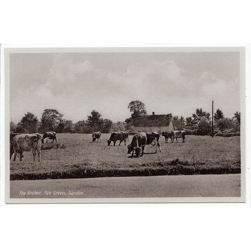 The Anchor Roe Green Sandon Postcard Hertfordshire