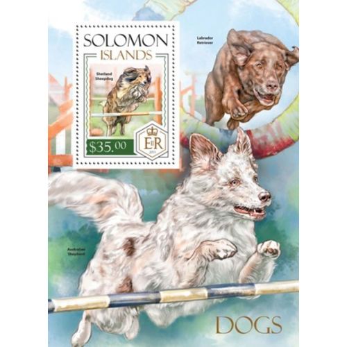 SOLOMON ISLANDS 2014 SHEET MNH DOGS PERROS CHIENS HUNDEN CANI CAES 1A