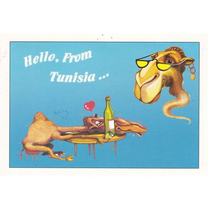 Hello From Tunisia Camel Drunk On Wine Postcard