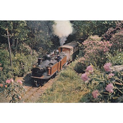 Merddin Emrys Train Double Farlie Locomotive Rhodendron Welsh Postcard