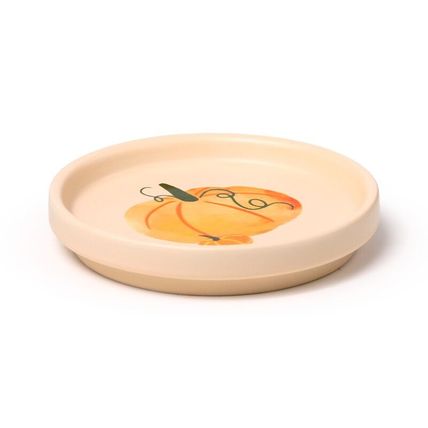 Autumn Harvest Porcelain Mug 8.3 CM &Coaster Set MIcrowave & Dishwaher Safe Gift
