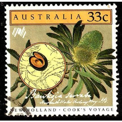 Australia 1986 Cook's Voyage 33c Used Stamp Flower Banksia