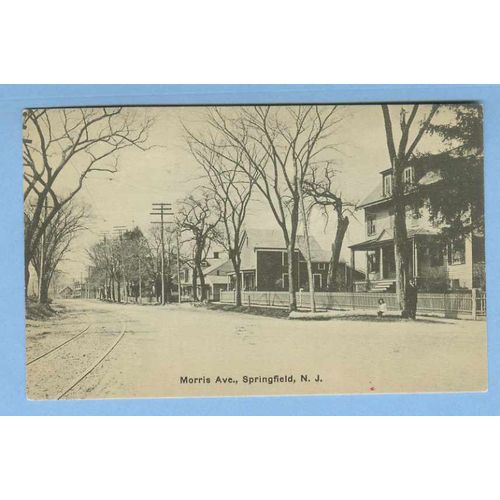 New Jersey Springfield Morris Ave Photo Type Tree Lined Street Scene Unpav~868