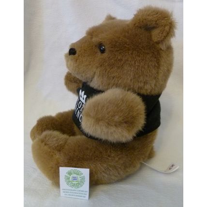 RARE SCOTIA PRINCE TEDDY BEAR with BLUE T-SHIRT cruise & ferry line OOB in 2004