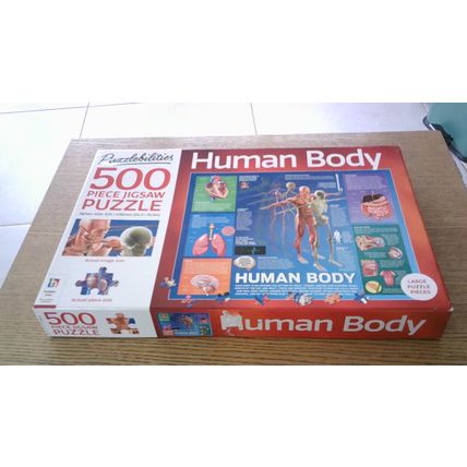 HUMAN BODY Jigsaw Puzzle (500 Large Pieces) Hinkler (2021)