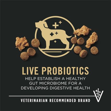 Purina Pro Plan High Protein Puppy Food Shredded Blend Chicken & Rice Formula -