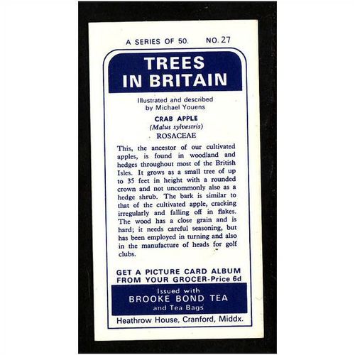 Brooke Bond Tea Card, Trees in Britain, no.27 Crab Apple