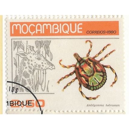 1980 SG 799 - cancelled