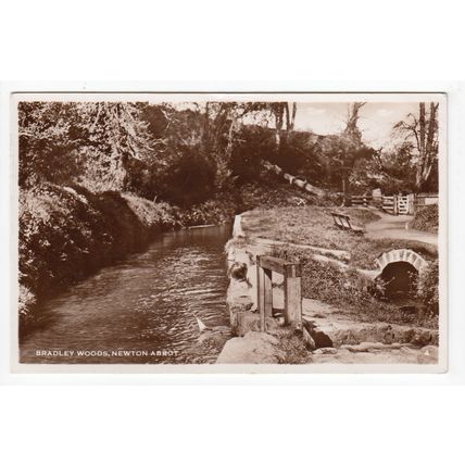 Bradley Woods Newton Abbot Postcard 1951 RP Devon