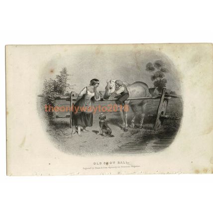Unconscious Sleeper, Peterson's Magazine, Book Illustration (Print), c1870