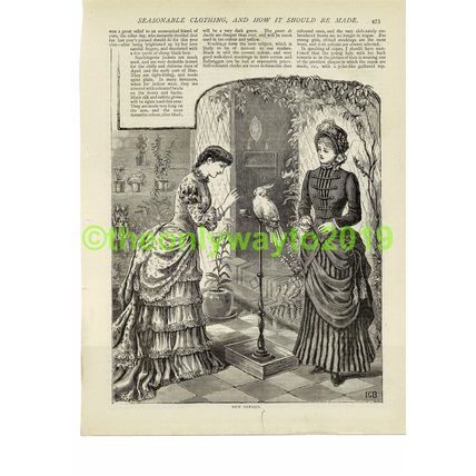 Well Dressed Girls with Cockatoo, Book Illustration (Print), 1881/2