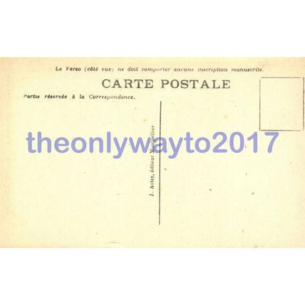 Maguelone, Porte de la Cathedral, France, Postcard, 1900/10s
