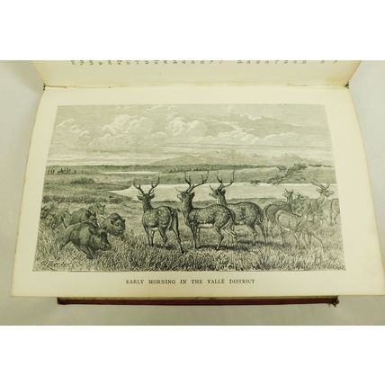 Antique Victorian Leather Hunting Book Rifle and The Hound In Ceylon 1874 Baker