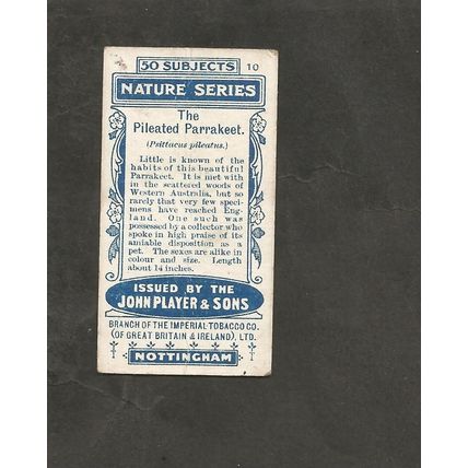 Cigarette Card Players Nature Series 1909 #10 The Pileated Parrakeet