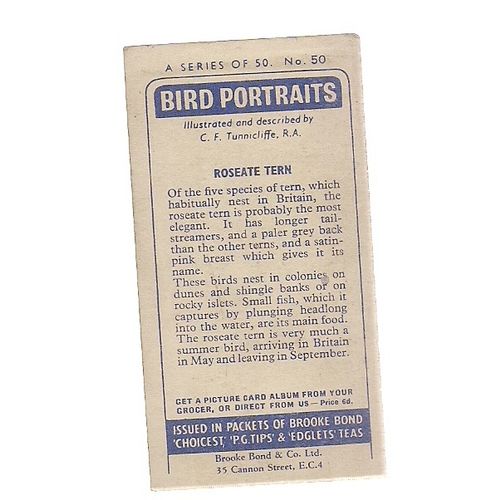 Roseate Tern..no 50..BIRD PORTRAITS Brooke Bond Tea Card 1957. vgc =