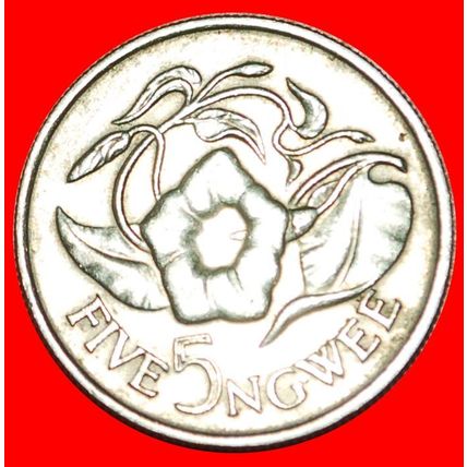 GREAT BRITAIN: ZAMBIA ★ 5 NGWEE 1968 FLOWER! LOW START★NO RESERVE