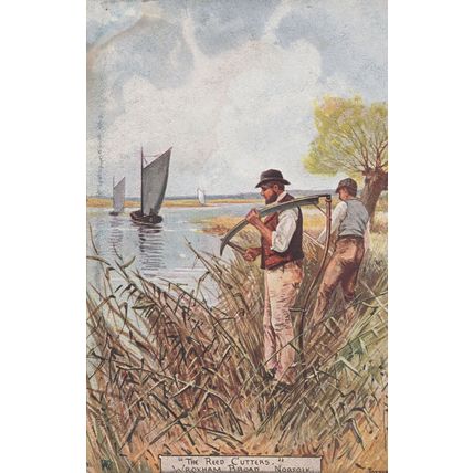 Reed Cutters at Wroxham Norfolk Boats Ship Old Postcard