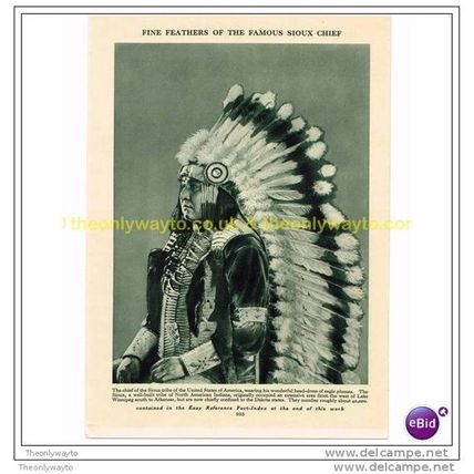 SIOUX CHIEF IN EAGLE PLUME HEAD-DRESS, Book Illustration, c1925