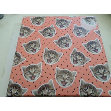 Cattitude - Pink with Cats Design - Mug - Design Ref 0015983 - New in Box